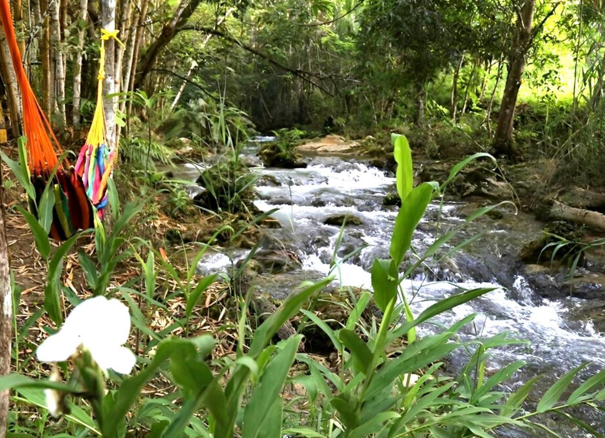 Reserva Ecologica Vive Copalitilla Villa San Miguel del Puerto Kültér fotó