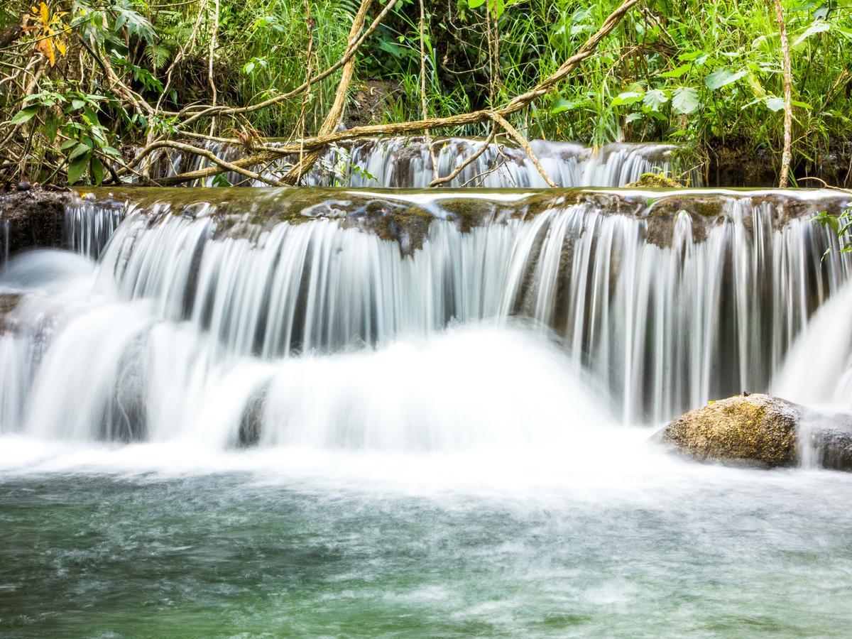 Reserva Ecologica Vive Copalitilla Villa San Miguel del Puerto Kültér fotó